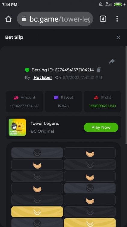 Screenshot_2022-05-01-19-44-03-942_com.android.chrome.jpg