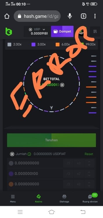 IMG_20221002_001325.jpg
