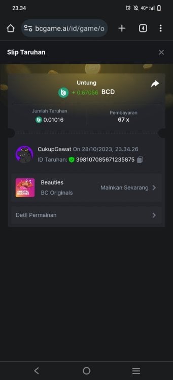 Screenshot_20231028_233452.jpg