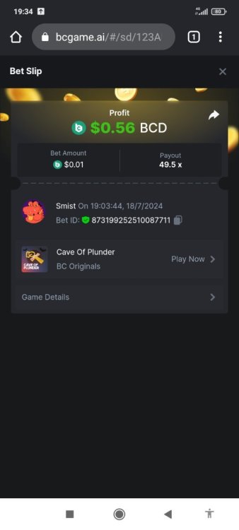 Screenshot_2024-07-18-19-34-10-960_com.android.chrome.jpg